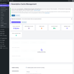 Page screenshot: Havenlytics &rarr; Cache