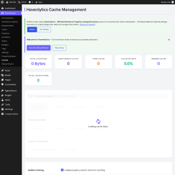 Page screenshot: Havenlytics &rarr; Cache
