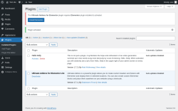 Page screenshot: Plugins &lsaquo; Test site &mdash; WordPress