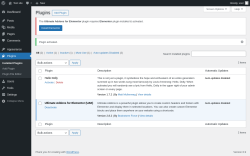 Page screenshot: Plugins &lsaquo; Test site &mdash; WordPress