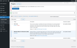 Page screenshot: Plugins &lsaquo; Test site &mdash; WordPress