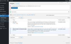 Page screenshot: Plugins &lsaquo; Test site &mdash; WordPress