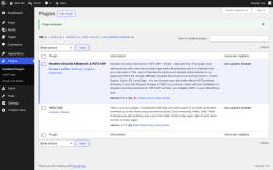 Page screenshot: Plugins &lsaquo; Test site &mdash; WordPress