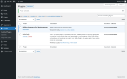 Page screenshot: Plugins &lsaquo; Test site &mdash; WordPress