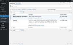 Page screenshot: Plugins &lsaquo; Test site &mdash; WordPress