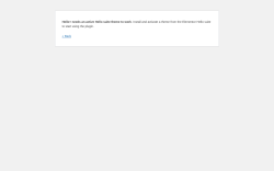 Page screenshot: Plugin Activation Error