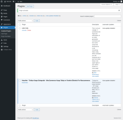 Page screenshot: Plugins ‹ Test site — WordPress