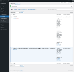 Page screenshot: Plugins ‹ Test site — WordPress