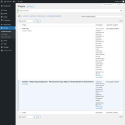 Page screenshot: Plugins ‹ Test site — WordPress