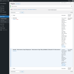 Page screenshot: Plugins ‹ Test site — WordPress