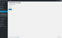 Page screenshot: Hits Counter &rarr; Hits Counter Setting