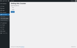 Page screenshot: Hits Counter &rarr; Hits Counter Setting