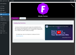 Page screenshot: Hizzle Forms