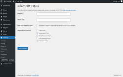 Page screenshot: Settings → reCAPTCHA by Hizzle