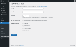 Page screenshot: Settings → reCAPTCHA by Hizzle