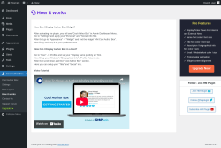 Page screenshot: Cool Author Box → How it works