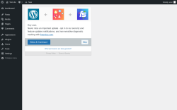 Page screenshot: ‹ Test site — WordPress