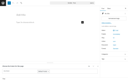 Page screenshot: Add Post ‹ Test site — WordPress
