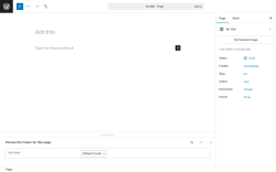 Page screenshot: Add Page ‹ Test site — WordPress