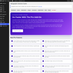 Page screenshot: Holo-Cache &rarr; Go Faster