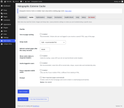 Page screenshot: Holo-Cache &rarr; Cache
