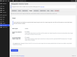 Page screenshot: Holo-Cache &rarr; Images
