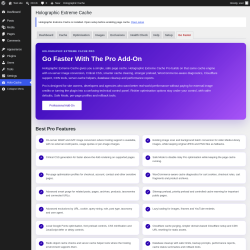 Page screenshot: Holo-Cache &rarr; Go Faster