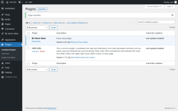 Page screenshot: Plugins &lsaquo; Test site &mdash; WordPress