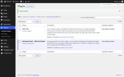 Page screenshot: Plugins &lsaquo; Test site &mdash; WordPress