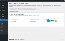 Page screenshot: Settings → Optimize Google Fonts → 
			Help		