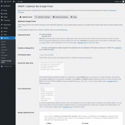 Page screenshot: Settings → Optimize Google Fonts