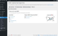 Page screenshot: Settings → Optimize Google Fonts → 
			Help		