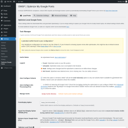 Page screenshot: Settings → Optimize Google Fonts
