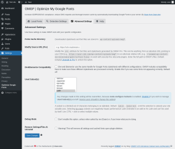 Page screenshot: Settings → Optimize Google Fonts → 
			Advanced Settings		