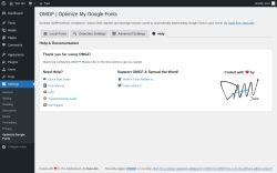 Page screenshot: Settings → Optimize Google Fonts → 
			Help		