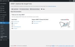 Page screenshot: Settings → Optimize Google Fonts → 
			Help		