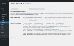 Page screenshot: Settings → Optimize Google Fonts → 
			Detection Settings        