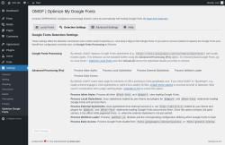 Page screenshot: Settings → Optimize Google Fonts → 
			Detection Settings        
