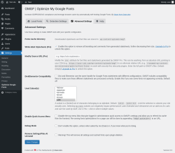 Page screenshot: Settings → Optimize Google Fonts → 
			Advanced Settings        