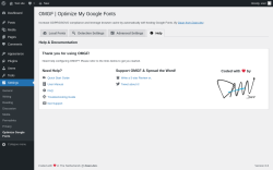 Page screenshot: Settings → Optimize Google Fonts → 
			Help		