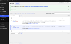 Page screenshot: Plugins &lsaquo; Test site &mdash; WordPress