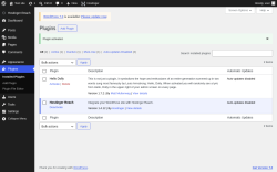 Page screenshot: Plugins &lsaquo; Test site &mdash; WordPress