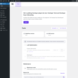 Page screenshot: Hostinger → Tools