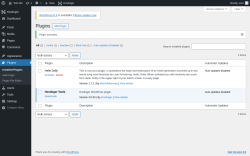 Page screenshot: Plugins &lsaquo; Test site &mdash; WordPress