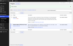 Page screenshot: Plugins &lsaquo; Test site &mdash; WordPress