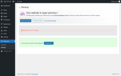 Page screenshot: Htaccess &rarr; Backup
