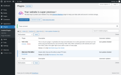 Page screenshot: Plugins &lsaquo; Test site &mdash; WordPress
