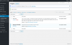 Page screenshot: Plugins &lsaquo; Test site &mdash; WordPress