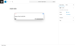 Page screenshot: HTML5 Audio Player →  ↳ Add New