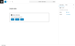 Page screenshot: Add New Player ‹ Test site — WordPress